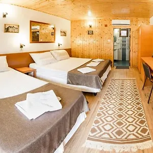 Pensiunea Casa 3*, Bucureşti România